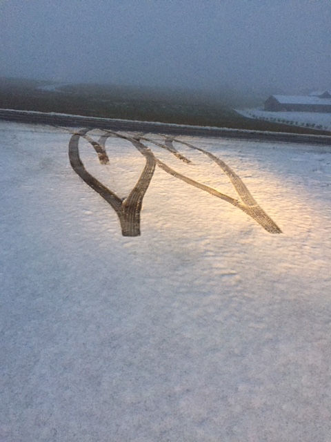 Snow Art
